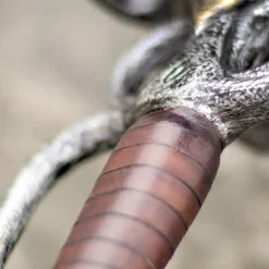 Epic Armoury LARP Schwert Small 100 Cm -pagan NiedrigerPreis larp schwert small 100 cm 5